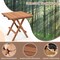 Costway Patio Folding Side Table Indonesia Teak Wood Square Slatted Tabletop Portable Picnic